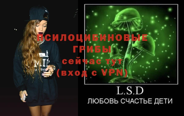 ПСИЛОЦИБИНОВЫЕ ГРИБЫ Гусев