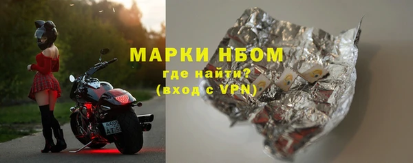 ПСИЛОЦИБИНОВЫЕ ГРИБЫ Гусев