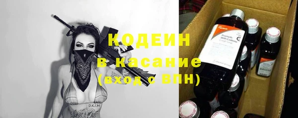 ПСИЛОЦИБИНОВЫЕ ГРИБЫ Гусев