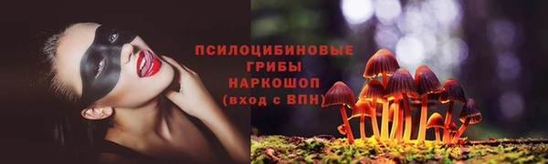 ПСИЛОЦИБИНОВЫЕ ГРИБЫ Гусев