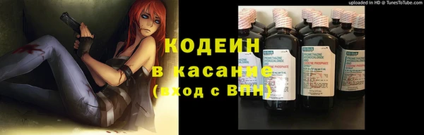 дмт Гусь-Хрустальный