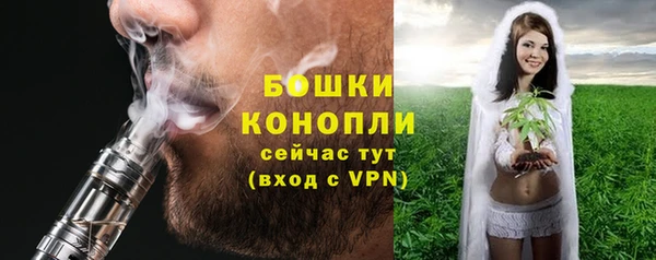 дживик Гусиноозёрск