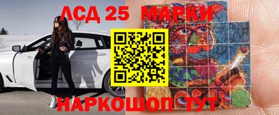 прущие грибы Беслан