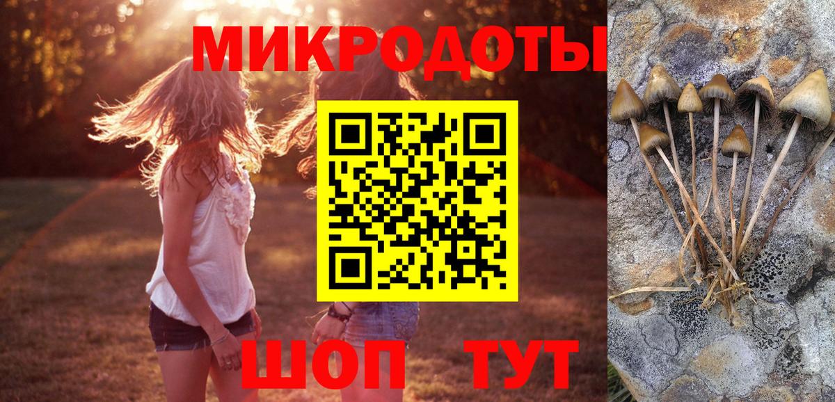 Псилоцибиновые грибы прущие грибы  Галлюциногенные грибы GOLDEN TEACHER  Дербент  Вход с VPN 