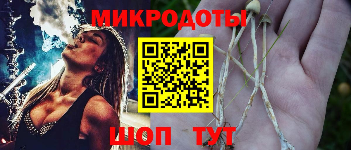 Псилоцибиновые грибы GOLDEN TEACHER Дербент